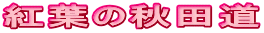 紅葉の秋田道